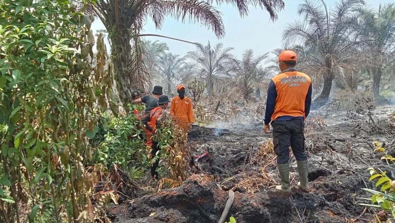 BPBD Mura Siapkan Posko Antisipasi Karhutla, Masifkan Imbauan ke Warga