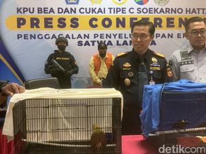 Nekat Selundupkan 2 Cenderawasih, Aktor Bollywood Diciduk di Bandara Soetta Nekat Selundupkan 2 Cenderawasih, Aktor Bollywood Diciduk di Bandara Soetta