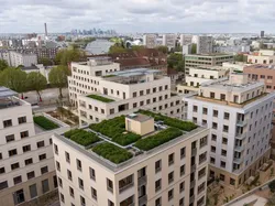 Banyak Atlet Tinggalkan Desa Olimpiade, Ada Apa?