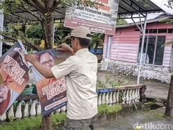 DLH Palopo Tertibkan 1.131 Banner-Baliho Dipaku di Pohon, Ada APK Pilkada