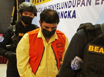Ini Aktor Bollywood yang Dibekuk Bea Cukai Gegara Selundupkan Cenderawasih
