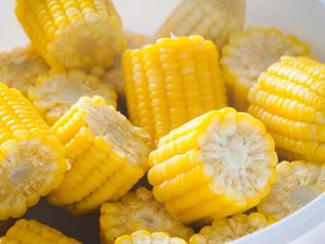 Makan Jagung Manis Bikin Gendut dan Gagal Diet, Apa Iya? Makan Jagung Manis Bikin Gendut dan Gagal Diet, Apa Iya?