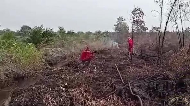 Karhutla di Banyuasin Di-mopping Up, Pastikan Api Tak Nyala Lagi