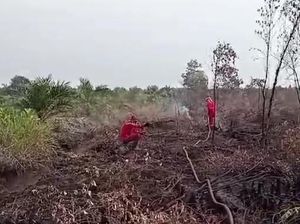 Karhutla di Banyuasin Di-mopping Up, Pastikan Api Tak Nyala Lagi