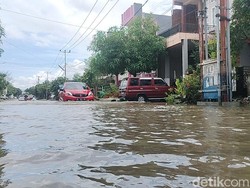 Banjir di Sidrap Terjang 6 Kecamatan, 718 Rumah-6 Sekolah Terendam
