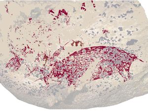 Potret Lukisan Cadas Berusia 51.200 Tahun di Leang Karampuang Sulsel