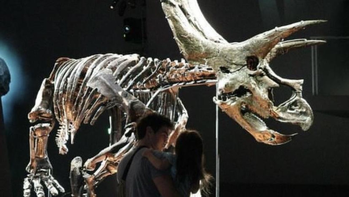 Menjelajahi 8 Museum Seni di Melbourne