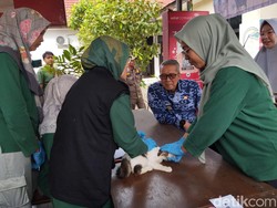 Cerita Nurindah Pencinta Anabul Jaga Keluarga dari Rabies