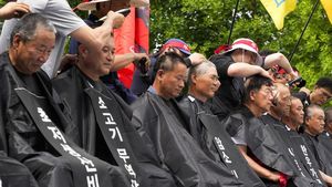 Peternak Korsel Kompak Cukur Rambut, Protes Harga Pakan Ternak
