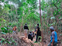 Tebang Pohon di Bukit Menumbing, 2 Warga Bangka Barat Diamankan Polisi