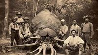 Gambar Unik Rekayasa AI: Bangsawan Thailand Abad ke-19 Vs Monster