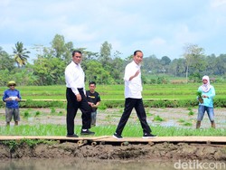 Jokowi Semangati Petani di Bone Saat Tinjau Program Pompanisasi