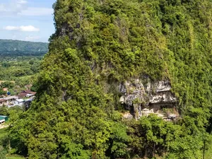 Kisah Perburuan Babi di Balik Seni Gua Tertua Dunia, Ada di Indonesia Kisah Perburuan Babi di Balik Seni Gua Tertua Dunia, Ada di Indonesia