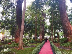 Siti Nurbaya Pamer Arboretum di KLHK: Ada Burung Rangkong dan 300 Pohon Siti Nurbaya Pamer Arboretum di KLHK: Ada Burung Rangkong dan 300 Pohon