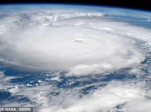 Mengenal Apa Itu Badai Beryl yang Melanda Negara-negara di Amerika