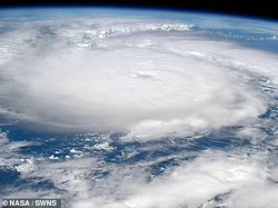 Mengenal Apa Itu Badai Beryl yang Melanda Negara-negara di Amerika