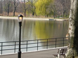 Bejat! Pria Perkosa Anak 13 Tahun di Taman, Warga New York pun Meringkusnya