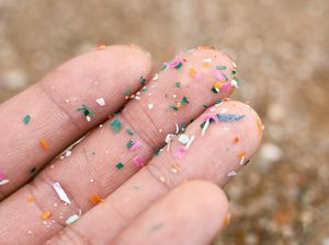 Studi Ungkap 14 Makanan yang Banyak Terdapat Mikroplastik, Ada Daging-Sayuran! Studi Ungkap 14 Makanan yang Banyak Terdapat Mikroplastik, Ada Daging-Sayuran!