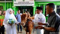 Potret Pasangan Pengantin di Ponorogo Menikah Dengan Mahar Sapi