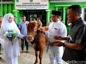 Potret Pasangan Pengantin di Ponorogo Menikah Dengan Mahar Sapi Potret Pasangan Pengantin di Ponorogo Menikah Dengan Mahar Sapi