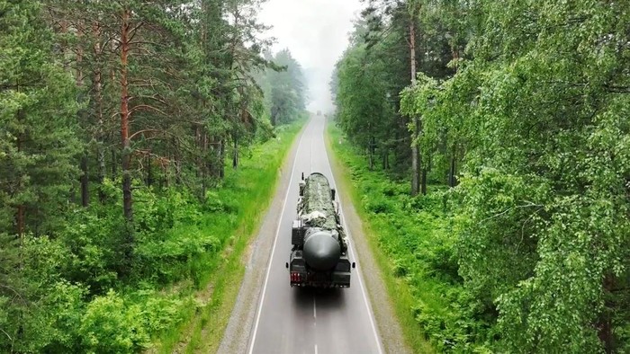 Indonesia di Urutan Keberapa? Intip 10 Negara dengan Hutan Terluas di Dunia