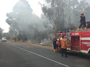 DPKPB Sebut Ada 3 Daerah di Lubuklinggau Rawan Karhutla, Ini Wilayahnya DPKPB Sebut Ada 3 Daerah di Lubuklinggau Rawan Karhutla, Ini Wilayahnya