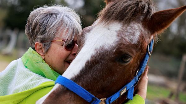 RS di Italia Gunakan Kuda untuk Terapi Pasien
