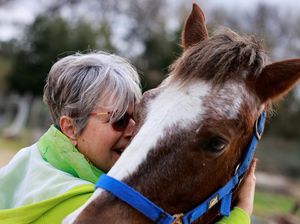 RS di Italia Gunakan Kuda untuk Terapi Pasien