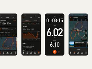 Fenomena Munculnya Joki Strava