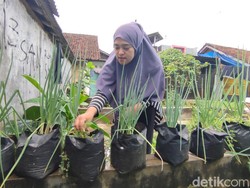 Mencegah Inflasi di Ciamis dengan Gerakan Hayu Bertasyakur
