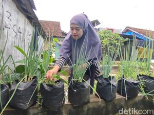 Mencegah Inflasi di Ciamis dengan Gerakan Hayu Bertasyakur Mencegah Inflasi di Ciamis dengan Gerakan Hayu Bertasyakur