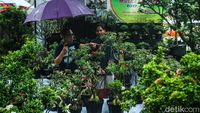 Hujan Tak Surutkan Semangat Warga Kunjungi Pameran Flona 2024