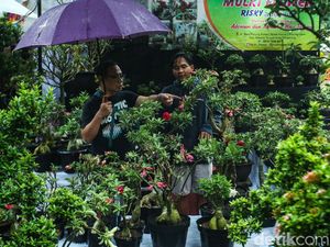 Hujan Tak Surutkan Semangat Warga Kunjungi Pameran Flona 2024