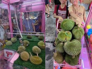 Keren! Pria Ini Berhasil Dapat 20 Durian dari Main Mesin Capit Keren! Pria Ini Berhasil Dapat 20 Durian dari Main Mesin Capit