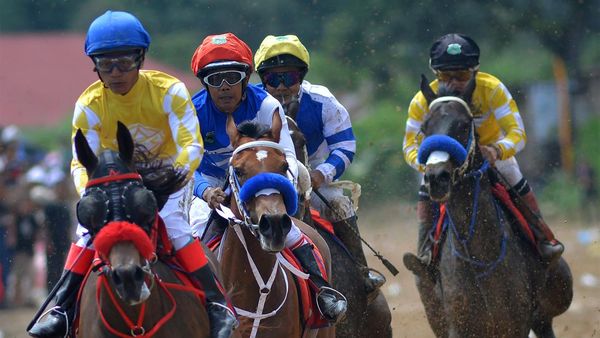 Adu Cepat di Lomba Pacu Kuda Wali Kota Bukittinggi Cup