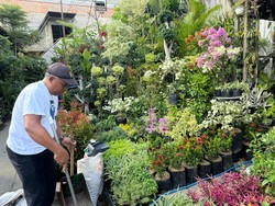 BRI Bantu Penjual Bunga di Surabaya Tingkatkan Ekonomi-Bisa Kuliahkan Anak