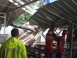 2 Pohon Tumbang Timpa Kantin Pekerja Proyek di Jakbar