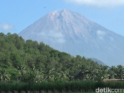 Gunung Semeru Erupsi Pagi Ini, Luncurkan Kolom Abu hingga 1 Km