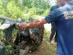 Damkar Selayar Evakuasi Ular Piton 7 Meter di Kebun Warga, Personel Luka