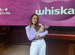 Raisa Gelontorkan Rp 5 Juta Sebulan untuk Makanan 14 Kucing