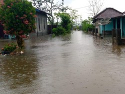 Banjir Rendam 508 Rumah di Buru Maluku, 210 Kepala Keluarga Mengungsi