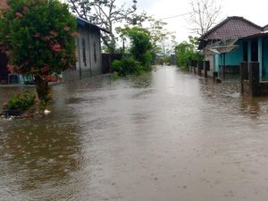 Banjir Rendam 508 Rumah di Buru Maluku, 210 Kepala Keluarga Mengungsi Banjir Rendam 508 Rumah di Buru Maluku, 210 Kepala Keluarga Mengungsi
