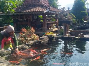 Unik! Di Klaten Bisa Makan Enak Ditemani Ikan Koi dan Suasana Asri