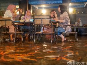 Resto Unik di Klaten! Pengunjung Bisa Makan Sambil Berinteraksi dengan Ikan Koi Resto Unik di Klaten! Pengunjung Bisa Makan Sambil Berinteraksi dengan Ikan Koi