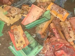 Viral Wanita Nangis Saat Buka Tabungan, Uangnya Habis Dimakan Rayap