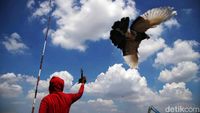 Potret Langit Cerah Jakarta Usai Hujan Akhir Pekan