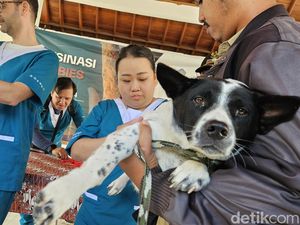 Rabies Merebak, Vaksinasi Massal Digelar di Singapadu Tengah Rabies Merebak, Vaksinasi Massal Digelar di Singapadu Tengah