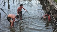Duh! Sungai Suka Maju di Jambi Diduga Tercemar Limbah Minyak