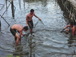 Duh! Sungai Suka Maju di Jambi Diduga Tercemar Limbah Minyak