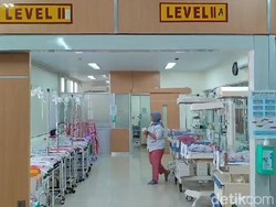 Sederet Fakta Ibu di Indramayu Lahirkan Bayi Kembar 5